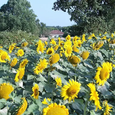 A Labourdette فندق مبيت وإفطار 3*