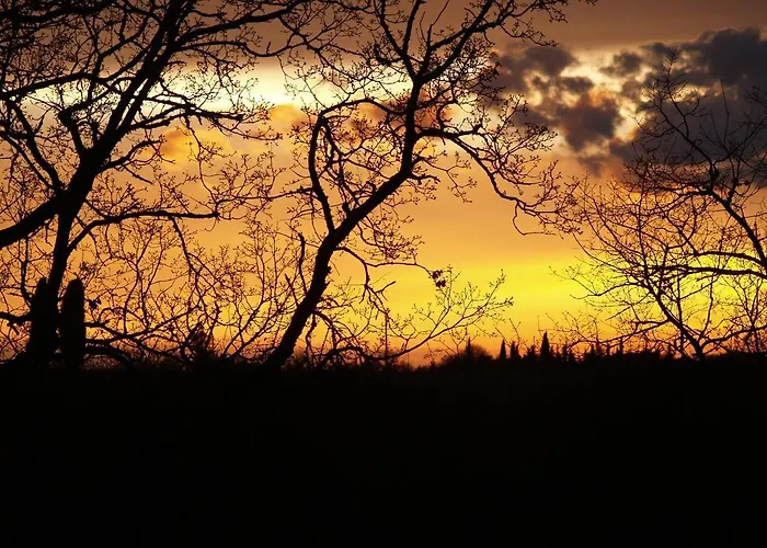 Couette-café A Labourdette Colayrac-Saint-Cirq
